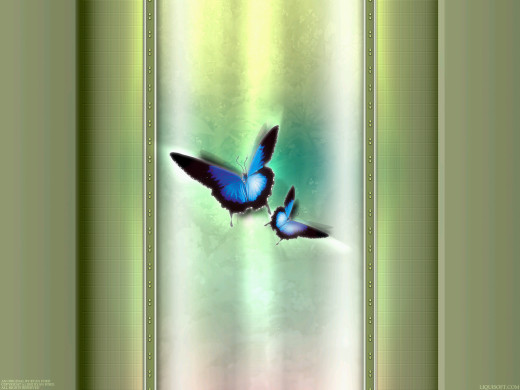 381654 (a): :1600x1200